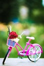 Pink vintage bicycle with basket and flowers leaning against wooden fence at the garden Royalty Free Stock Photo