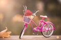 Pink vintage bicycle with basket and flowers leaning against wooden fence at the garden Royalty Free Stock Photo