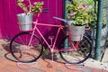 Pink vintage bike shaped pot holder with geranium flowers in