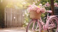 Pink vintage bike with wicker basket with pink flowers