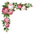 Pink vintage roses, rosebuds and leaves. Royalty Free Stock Photo