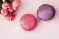 Pink and vioet macarons, macaroons, spring flowers, top view. Romantic morning, gift for beloved. Breakfast on Valentin