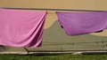 Pink and violet bed sheets hanging on a drying rack in the garden Pesaro, Italy Royalty Free Stock Photo