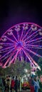 pink violet blue purple ferris wheel at city fair national festivities mexico