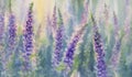 Pink and violet lupine flowers watercolor background