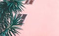 Pink wall building with windows and shutters and tropical green plant flower Royalty Free Stock Photo