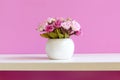 Pink wall with flower pink rose on shelf white wood, copy space for text. Royalty Free Stock Photo