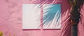 Pink Wall With Palm Tree and Two Windows Royalty Free Stock Photo