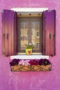 Pink wall and shutters on window, Burano, Italy Royalty Free Stock Photo