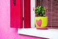 Pink wall and window with pink shutters. Burano, Venice, Italy Royalty Free Stock Photo