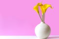 Pink wall with  yellow flowers on shelf white wood, copy space for test. Royalty Free Stock Photo