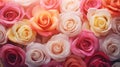 pink wallpaper roses background