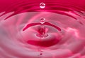 Pink water dropplet Royalty Free Stock Photo