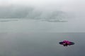 A pink water lily blooming on an infinity pool with foggy mountains in background under moody cloudy sky Royalty Free Stock Photo