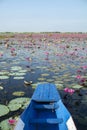 Pink water lily field in lake with boat foreground Royalty Free Stock Photo