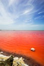 Pink water, red water galerazamba cartagena colombia