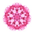 Pink watercolor flower mandala pattern isolated on white background. Kaleidoscope effect. Royalty Free Stock Photo