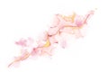 Pink watercolor hand drawn backgrounds design. Royalty Free Stock Photo