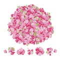 Pink watercolor hydrangea floral design.