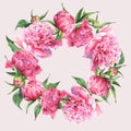 Pink watercolor peonies vintage greeting card Royalty Free Stock Photo