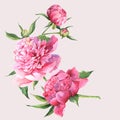 Pink watercolor peonies vintage greeting card Royalty Free Stock Photo