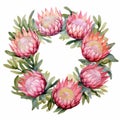 Pink watercolour protea flower wreath circle round garland decoration on white background