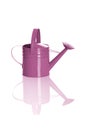 Pink watering can Royalty Free Stock Photo