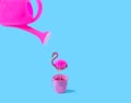 A pink watering can above a pink flamingo standing in a pink can against blue background. Surreal concept for exotic travel