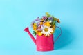 Pink watering can with beautiful flowers on light blue background Royalty Free Stock Photo