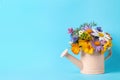 Pink watering can with beautiful flowers on light blue background, space for text Royalty Free Stock Photo