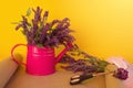 Pink watering can with a bouquet of lavender flowers  scissors and a satin ribbon on a background of craft paper on a bright Royalty Free Stock Photo