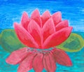 Pink waterlily, oil painting Royalty Free Stock Photo