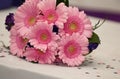 Pink Wedding Gerbera flowers