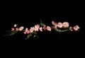 pink wedding rose garland