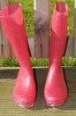 Pink wellies Royalty Free Stock Photo