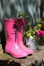 Pink wellingtons in front of an old shed Royalty Free Stock Photo