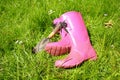 Pink wellingtons in the Spring garden