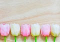 Pink and white artificial tulips on wood background, copy space Royalty Free Stock Photo