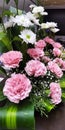 Carnation pink flower & Sevanti white flower booked