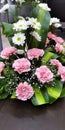 Carnation pink flower & Sevanti white flower booked