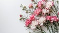 Pink and white carnations on a white canvas with copy space Royalty Free Stock Photo