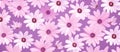 Pink and white daisies create a pattern on a vibrant purple groundcover Royalty Free Stock Photo