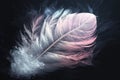 a pink and white feather floating in the air with a black background and a black background with a w