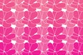 Pink and white flower pattern background