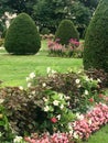 Pink and white flowers in garden at Boston Commons Royalty Free Stock Photo