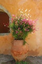 Pink and white flowers in a large clay pot, Crete Greece