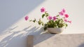 Pink And White Flowers On Ledge: Unreal Engine Render With Mediterranean-inspired Aesthetics