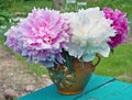 Pink and white fresh garden peonies flowers in a simple clay rural vase