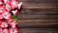 Pink and white geranium flowers on brown wooden background. Top view Royalty Free Stock Photo