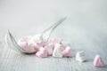 Pink and white heart shaped marshmallows diplayed in dried natural white leaf on light grey underground